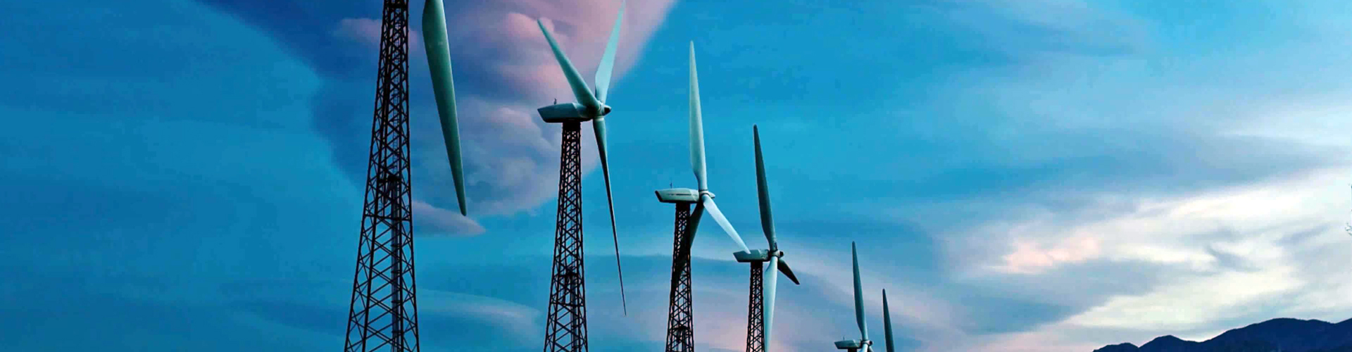 6008集团官方网站集团（LSI）