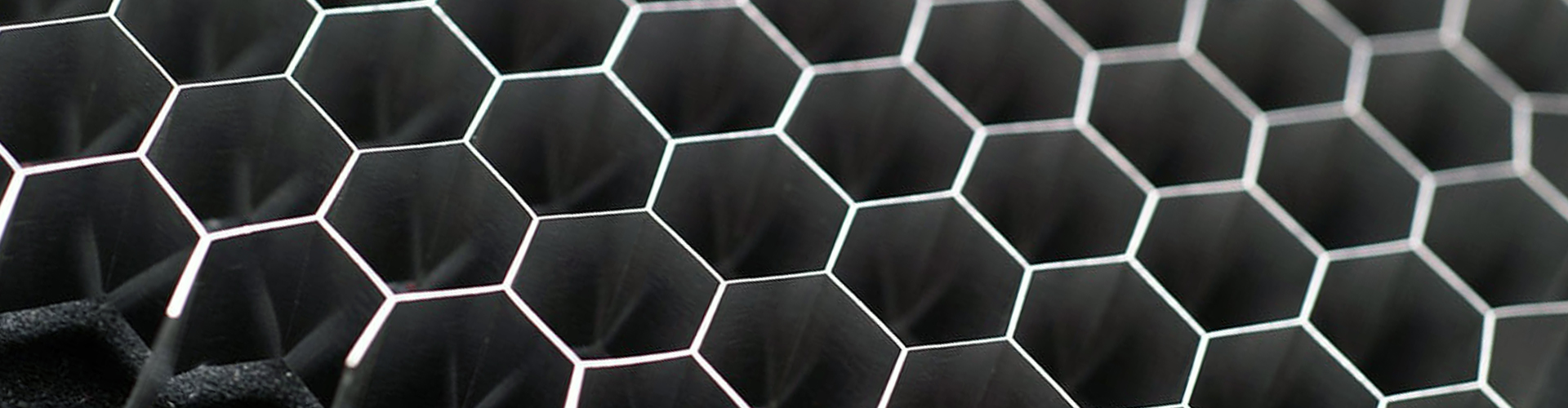 6008集团官方网站集团（LSI）