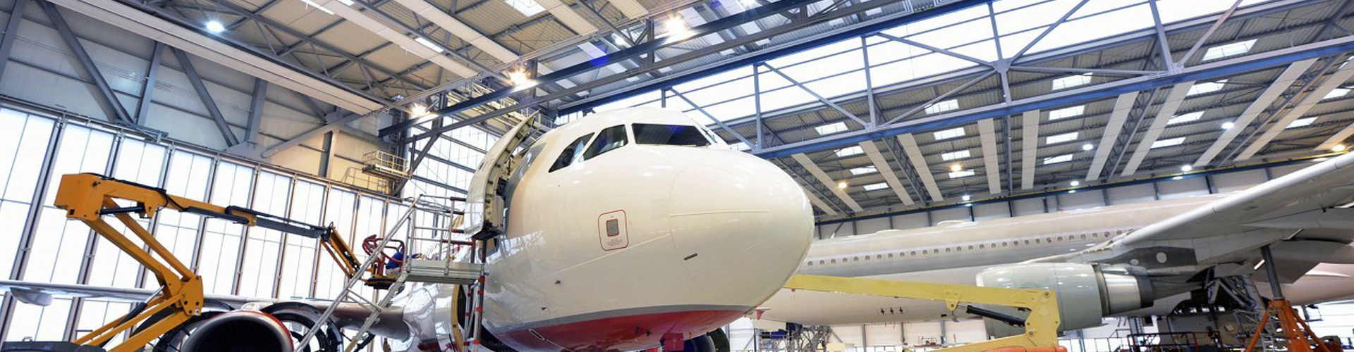 6008集团官方网站集团（LSI）